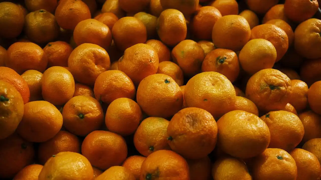 How Long Does It Take To Learn Mandarin Chinese: A Realistic Timeline