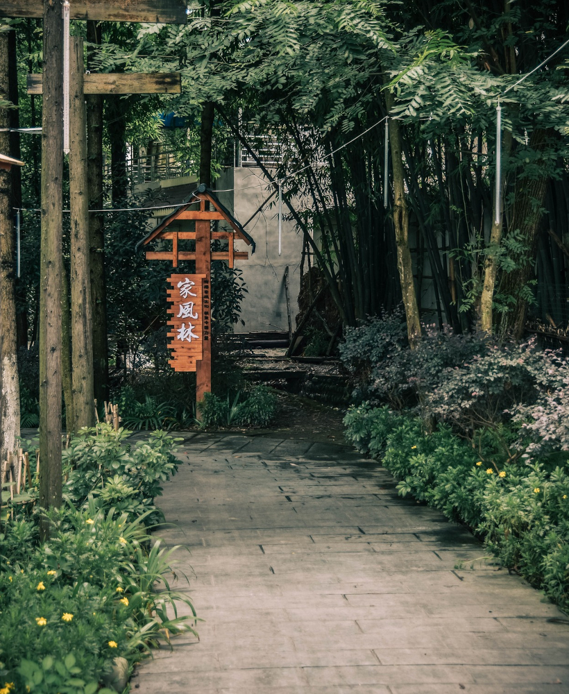 Mandarin language lessons